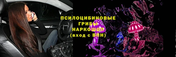 твердый Алексин