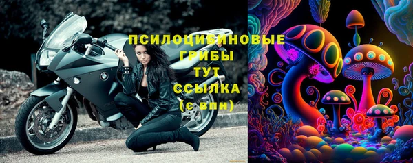 твердый Алексин