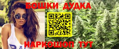 герыч Гатчина