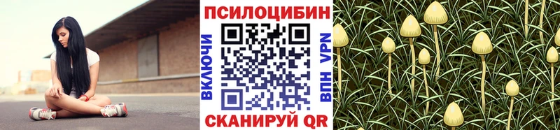 Псилоцибиновые грибы мицелий  купить наркоту  Феодосия 